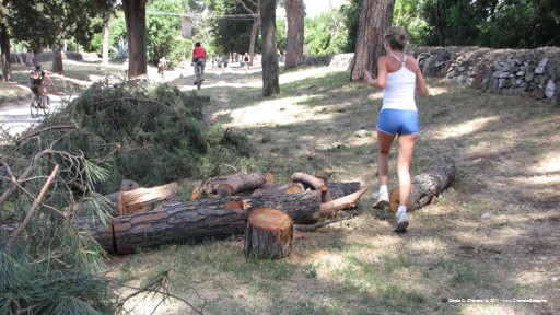 Enjoying the Appian Way another way